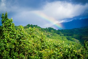 Kauai Hawaii Rainbow 7876